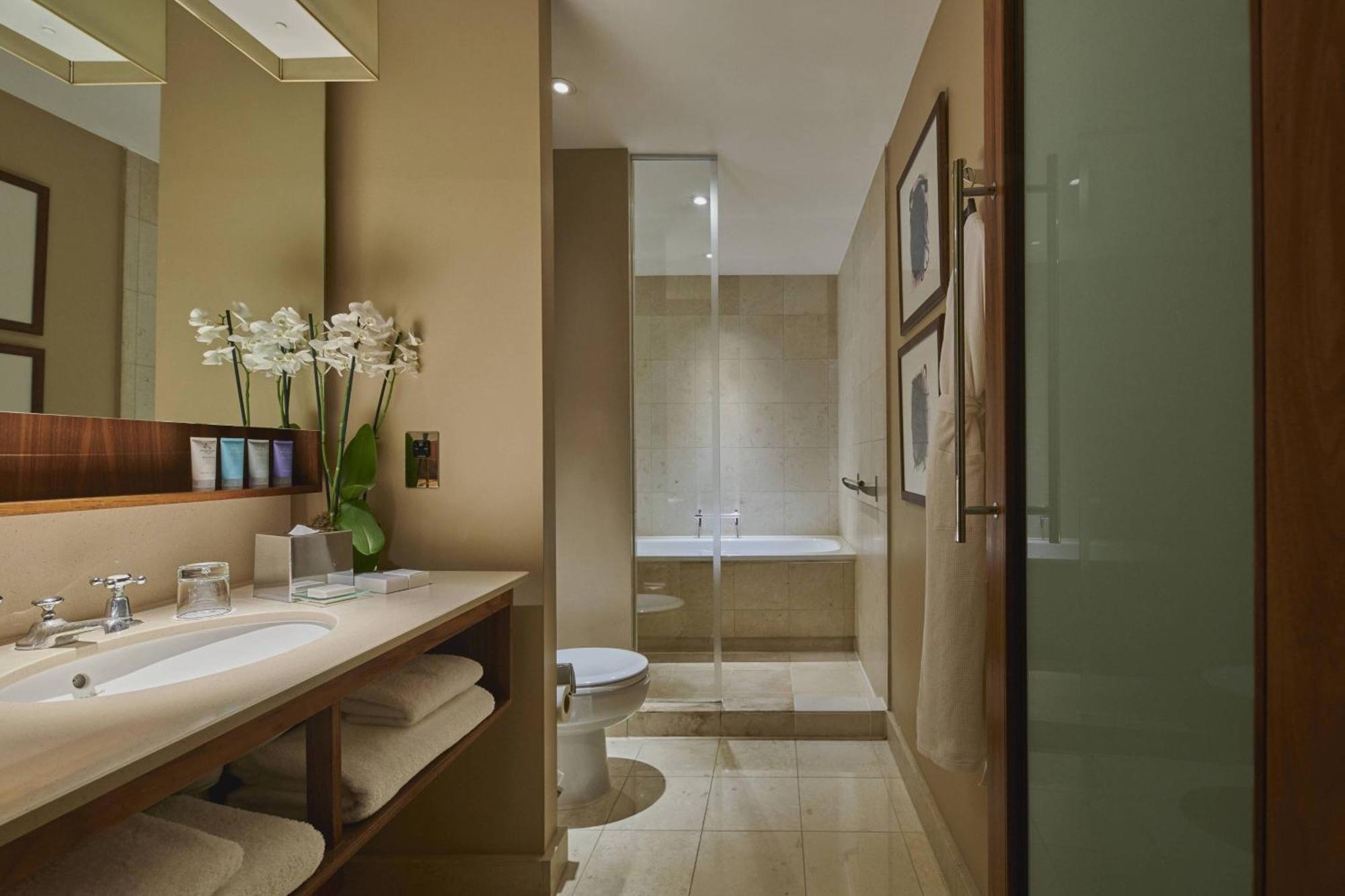 Signature, Guest room, 1 King,1643166114:JPEG